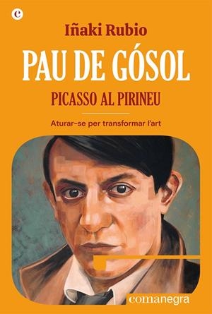 PAU DE GÓSOL. PICASSO AL PIRINEU | 9788419590404 | RUBIO, IÑAKI | Llibreria Ombra | Llibreria online de Rubí, Barcelona | Comprar llibres en català i castellà online