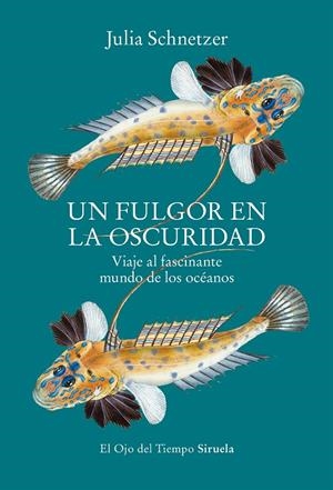 UN FULGOR EN LA OSCURIDAD | 9788419553119 | SCHNETZER, JULIA | Llibreria Ombra | Llibreria online de Rubí, Barcelona | Comprar llibres en català i castellà online