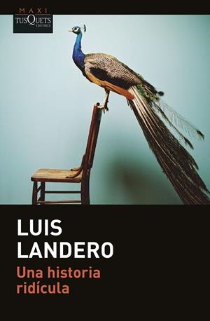 UNA HISTORIA RIDÍCULA | 9788411073288 | LANDERO, LUIS | Llibreria Ombra | Llibreria online de Rubí, Barcelona | Comprar llibres en català i castellà online
