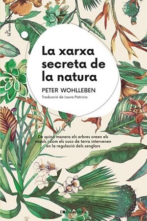 LA XARXA SECRETA DE LA NATURA | 9788413562872 | WOHLLEBEN, PETER | Llibreria Ombra | Llibreria online de Rubí, Barcelona | Comprar llibres en català i castellà online
