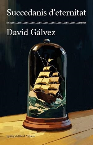 SUCCEDANIS D'ETERNITAT | 9788417353506 | DAVID GÁLVEZ | Llibreria Ombra | Llibreria online de Rubí, Barcelona | Comprar llibres en català i castellà online