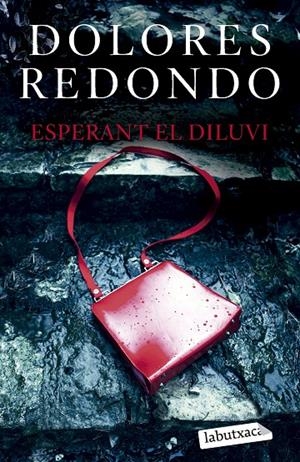 ESPERANT EL DILUVI | 9788419107961 | REDONDO, DOLORES | Llibreria Ombra | Llibreria online de Rubí, Barcelona | Comprar llibres en català i castellà online