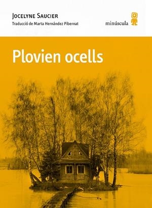 PLOVIEN OCELLS | 9788412662092 | SAUCIER, JOCELYNE | Llibreria Ombra | Llibreria online de Rubí, Barcelona | Comprar llibres en català i castellà online