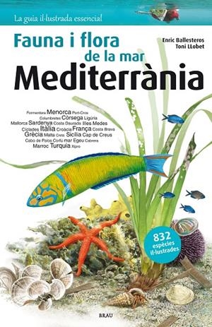 FAUNA I FLORA DE LA MAR MEDITERRÀNIA | 9788415885979 | BALLESTEROS SAGARRA, ENRIC | Llibreria Ombra | Llibreria online de Rubí, Barcelona | Comprar llibres en català i castellà online