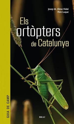 ELS ORTÒPTERS DE CATALUNYA | 9788418096266 | OLMO VIDAL, JOSEP M/LUQUE PINO, PERE | Llibreria Ombra | Llibreria online de Rubí, Barcelona | Comprar llibres en català i castellà online