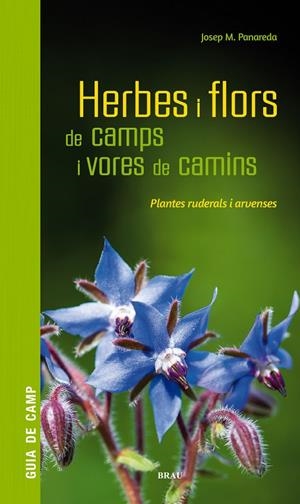 HERBES I FLORS DE CAMPS I VORES DE CAMINS | 9788418096082 | PANAREDA CLOPÉS, JOSEP M | Llibreria Ombra | Llibreria online de Rubí, Barcelona | Comprar llibres en català i castellà online