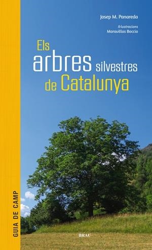ELS ARBRES  SILVESTRES DE CATALUNYA | 9788415885856 | PANAREDA CLOPÉS, JOSEP M | Llibreria Ombra | Llibreria online de Rubí, Barcelona | Comprar llibres en català i castellà online
