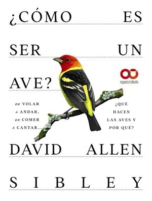 ¿CÓMO ES SER UN AVE? DE VOLAR A ANIDAR, DE COMER A CANTAR... ¿QUÉ HACEN LAS AVES | 9788441549050 | ALLEN SIBLEY, DAVID | Llibreria Ombra | Llibreria online de Rubí, Barcelona | Comprar llibres en català i castellà online