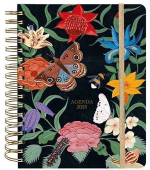 AGENDA ANUAL SEMANAL 2025 BRIANDA | 9788419215314 | FITZ JAMES STUART, BRIANDA | Llibreria Ombra | Llibreria online de Rubí, Barcelona | Comprar llibres en català i castellà online