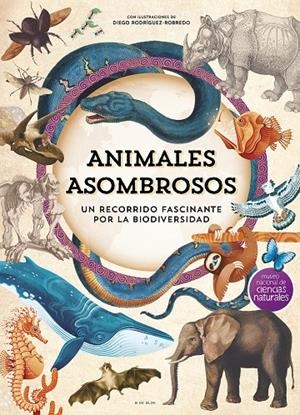 ANIMALES ASOMBROSOS | 9788410269101 | MUSEO NACIONAL DE CIENCIAS NATURALES | Llibreria Ombra | Llibreria online de Rubí, Barcelona | Comprar llibres en català i castellà online