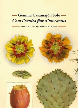 COM L'OCULTA FLOR D'UN CACTUS | 9788477277071 | CASAMAJÓ I SOLÉ, GEMMA | Llibreria Ombra | Llibreria online de Rubí, Barcelona | Comprar llibres en català i castellà online