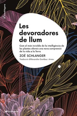 LES DEVORADORES DE LLUM | 9788413564821 | SCHLANGER, ZOË | Llibreria Ombra | Llibreria online de Rubí, Barcelona | Comprar llibres en català i castellà online