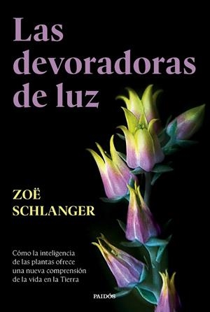 LAS DEVORADORAS DE LUZ | 9788449343742 | SCHLANGER, ZOË | Llibreria Ombra | Llibreria online de Rubí, Barcelona | Comprar llibres en català i castellà online