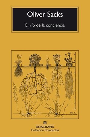 EL RÍO DE LA CONCIENCIA | 9788433946867 | SACKS, OLIVER | Llibreria Ombra | Llibreria online de Rubí, Barcelona | Comprar llibres en català i castellà online