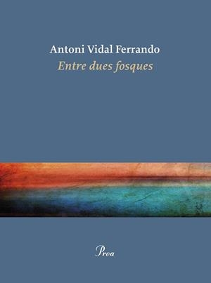 ENTRE DUES FOSQUES | 9788410488434 | VIDAL FERRANDO, ANTONI | Llibreria Ombra | Llibreria online de Rubí, Barcelona | Comprar llibres en català i castellà online