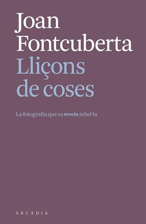 LLIÇONS DE COSES. | 9788412999709 | FONTCUBERTA I VILLÀ, JOAN | Llibreria Ombra | Llibreria online de Rubí, Barcelona | Comprar llibres en català i castellà online