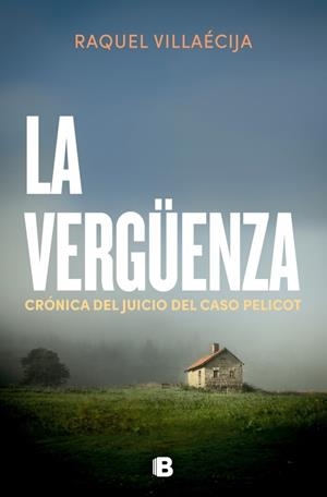 LA VERGÜENZA | 9788466683029 | VILLAECIJA, RAQUEL | Llibreria Ombra | Llibreria online de Rubí, Barcelona | Comprar llibres en català i castellà online