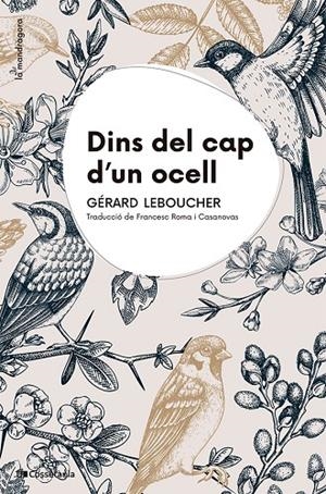 DINS DEL CAP D'UN OCELL | 9788413565163 | LEBOUCHER, GÉRARD | Llibreria Ombra | Llibreria online de Rubí, Barcelona | Comprar llibres en català i castellà online