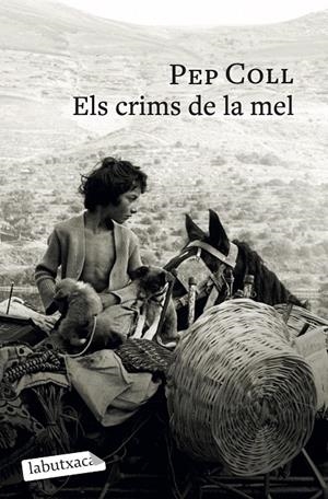 ELS CRIMS DE LA MEL | 9791387802196 | COLL, PEP | Llibreria Ombra | Llibreria online de Rubí, Barcelona | Comprar llibres en català i castellà online