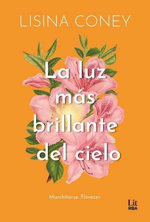 LA LUZ MÁS BRILLANTE DEL CIELO | 9788411329323 | CONEY, LISINA | Llibreria Ombra | Llibreria online de Rubí, Barcelona | Comprar llibres en català i castellà online