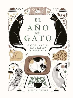 EL AÑO DEL GATO | 9788411723091 | DAVIES, ALISON | Llibreria Ombra | Llibreria online de Rubí, Barcelona | Comprar llibres en català i castellà online