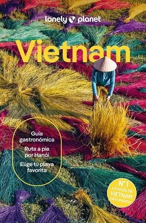 VIETNAM 10 | 9788408311232 | TRUONG, DIANA/ZUKAS, JOSHUA/ENGELBACH, BEN/FORONDA, KARLA/THANH NGC, VÕ THI/NGUYEN, BIEN/OOSTVEEN, S | Llibreria Ombra | Llibreria online de Rubí, Barcelona | Comprar llibres en català i castellà online