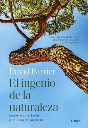 EL INGENIO DE LA NATURALEZA | 9788491998464 | FARRIER, DAVID | Llibreria Ombra | Llibreria online de Rubí, Barcelona | Comprar llibres en català i castellà online