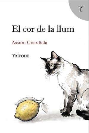 EL COR DE LA LLUM | 9791399090376 | GUARDIOLA, ASSUM | Llibreria Ombra | Llibreria online de Rubí, Barcelona | Comprar llibres en català i castellà online