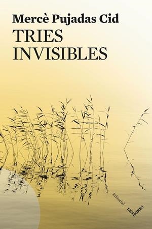 TRIES INVISIBLES | 9791399072150 | PUJADAS CID, MERCÈ | Llibreria Ombra | Llibreria online de Rubí, Barcelona | Comprar llibres en català i castellà online