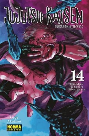 JUJUTSU KAISEN 14 (NUEVO PVP) | 9788467966909 | AKUTAMI, GEGE | Llibreria Ombra | Llibreria online de Rubí, Barcelona | Comprar llibres en català i castellà online