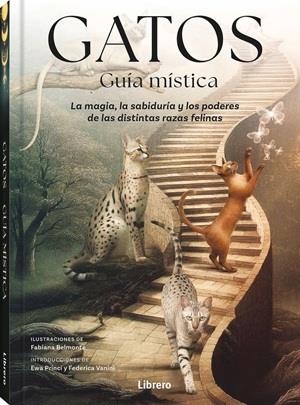 GATOS GUIA MISTICA | 9789464992007 | BELMONTE, FABIANA | Llibreria Ombra | Llibreria online de Rubí, Barcelona | Comprar llibres en català i castellà online