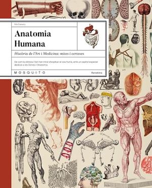ANATOMIA HUMANA | 9788410417724 | CASSANY, MIA | Llibreria Ombra | Llibreria online de Rubí, Barcelona | Comprar llibres en català i castellà online