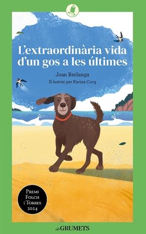 L'EXTRAORDINÀRIA VIDA D'UN GOS A LES ÚLTIMES | 9788424677893 | BERLANGA SARRASECA, JOAN | Llibreria Ombra | Llibreria online de Rubí, Barcelona | Comprar llibres en català i castellà online