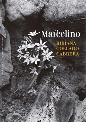 MARCELINO | 9788410476431 | COLLADO CABRERA, BIBIANA | Llibreria Ombra | Llibreria online de Rubí, Barcelona | Comprar llibres en català i castellà online