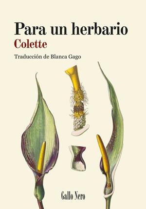 PARA UN HERBARIO | 9788419168887 | COLETTE, SIDONIE-GABRIELLE | Llibreria Ombra | Llibreria online de Rubí, Barcelona | Comprar llibres en català i castellà online