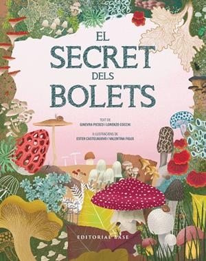 EL SECRET DELS BOLETS | 9791387728502 | PICOCO, GINEVRA/COCCHI, LORENZO | Llibreria Ombra | Llibreria online de Rubí, Barcelona | Comprar llibres en català i castellà online