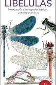 LIBELULAS:INTRUDUCCION ESPECIES IBERICAS BALEARES Y CANARIA | 9788418458880 | AA.VV | Llibreria Ombra | Llibreria online de Rubí, Barcelona | Comprar llibres en català i castellà online