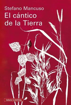 EL CÁNTICO DE LA TIERRA | 9791388019845 | MANCUSO, STEFANO | Llibreria Ombra | Llibreria online de Rubí, Barcelona | Comprar llibres en català i castellà online