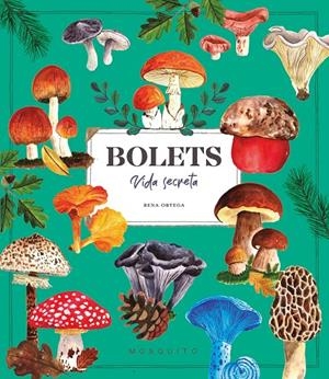 BOLETS. VIDA SECRETA | 9788410417687 | ORTEGA, RENA | Llibreria Ombra | Llibreria online de Rubí, Barcelona | Comprar llibres en català i castellà online