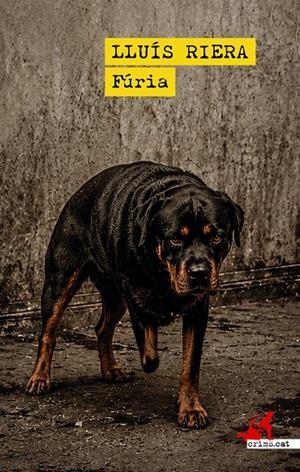 FÚRIA | 9791388174247 | RIERA, LLUIS | Llibreria Ombra | Llibreria online de Rubí, Barcelona | Comprar llibres en català i castellà online