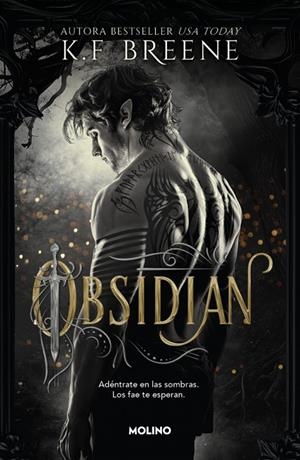 LOS FAE DE LAS SOMBRAS 1 - OBSIDIAN | 9788427257290 | BREENE, K.F. | Llibreria Ombra | Llibreria online de Rubí, Barcelona | Comprar llibres en català i castellà online