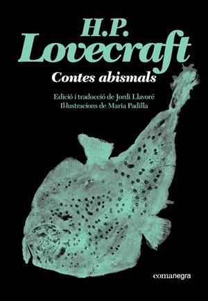 CONTES ABISMALS | 9791387969530 | LOVECRAFT, H.P. | Llibreria Ombra | Llibreria online de Rubí, Barcelona | Comprar llibres en català i castellà online