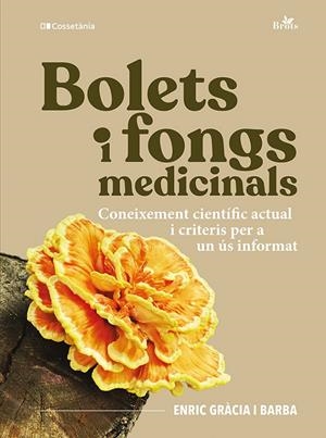 BOLETS I FONGS MEDICINALS | 9788413566313 | GRÀCIA I BARBA, ENRIC | Llibreria Ombra | Llibreria online de Rubí, Barcelona | Comprar llibres en català i castellà online